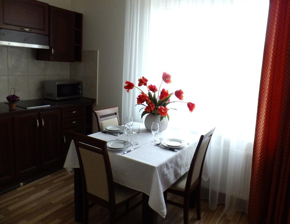 Chalet Villa Rex ดรูซกินินไก ห้อง รูปภาพ